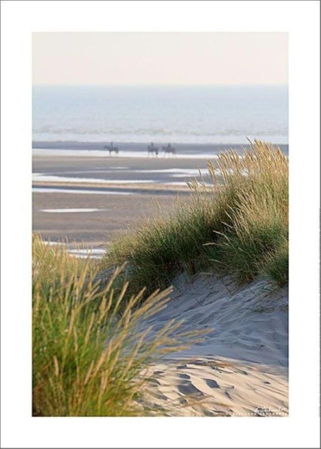 Le Saint Amand, Studio Cabine, Agreable Terrasse Sud Le Touquet Zewnętrze zdjęcie